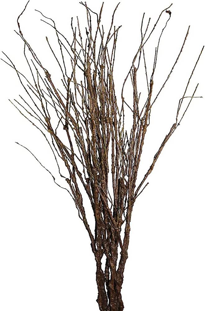 MISSWARM 10 PCS Artificial Twigs Curly Willow Branches, 30.7 Inches Lifelike Bendable Artificial ... | Amazon (US)