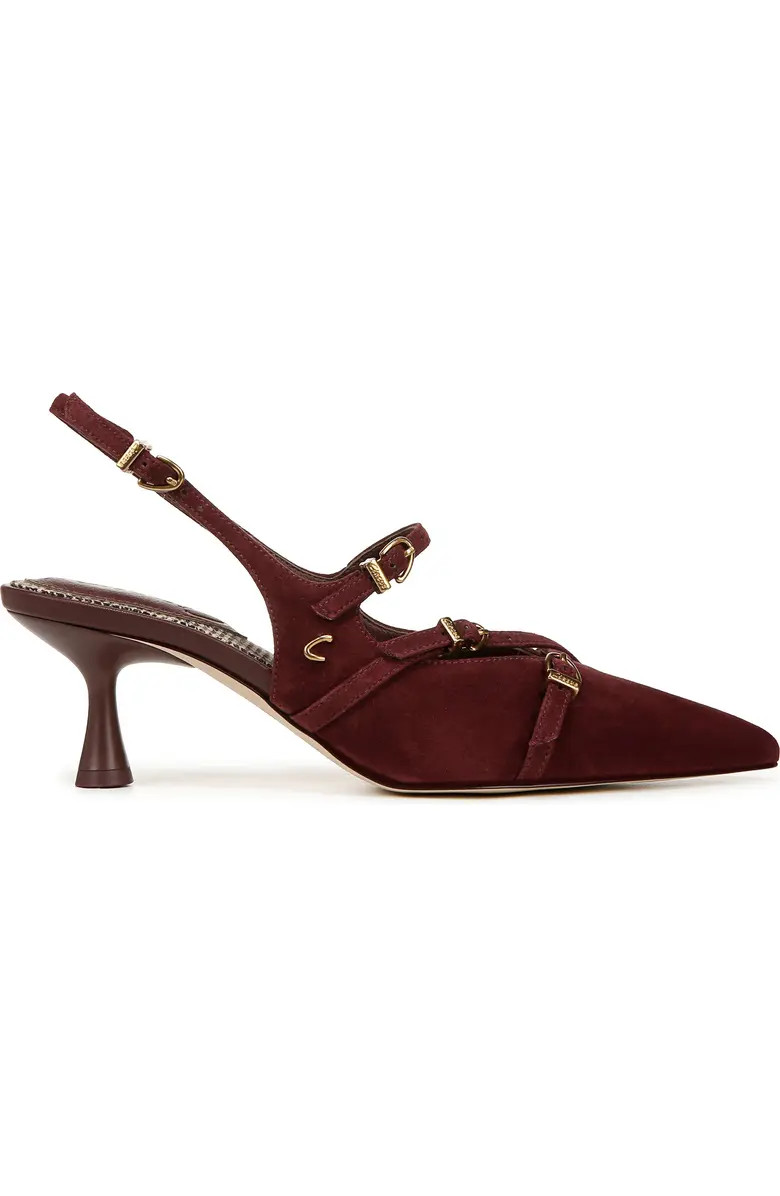 Circus NY by Sam Edelman Fraya Slingback Pointed Toe Pump (Women) | Nordstrom | Nordstrom