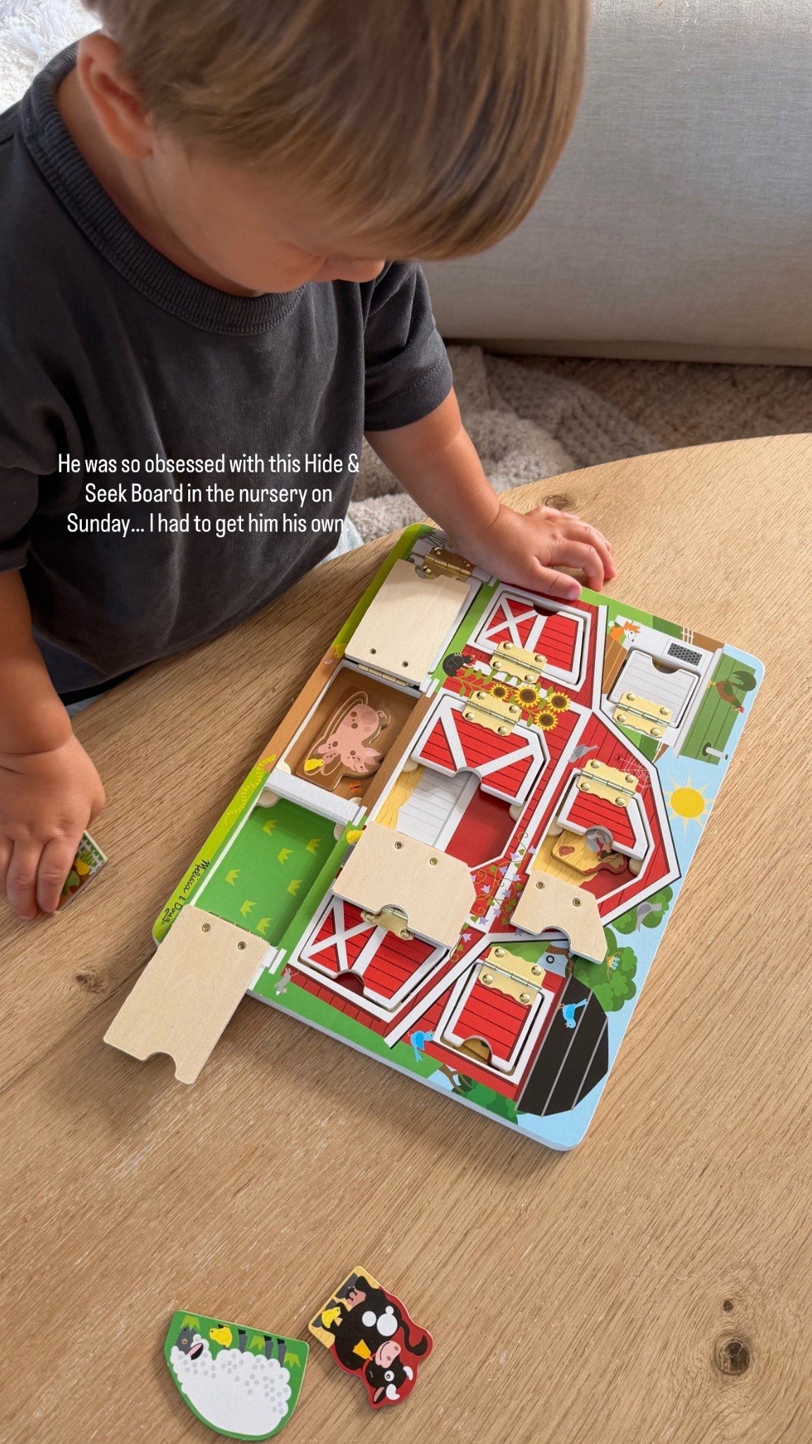 1-2 year old wooden hide and seek activity board. Mellisa and doug

#LTKBaby #LTKKids #LTKmomlife