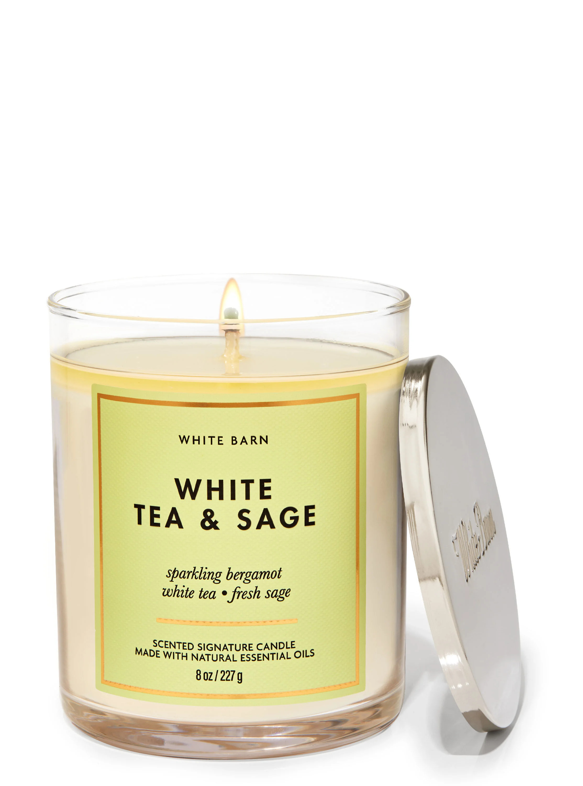White Tea & Sage


Single Wick Candle | Bath & Body Works