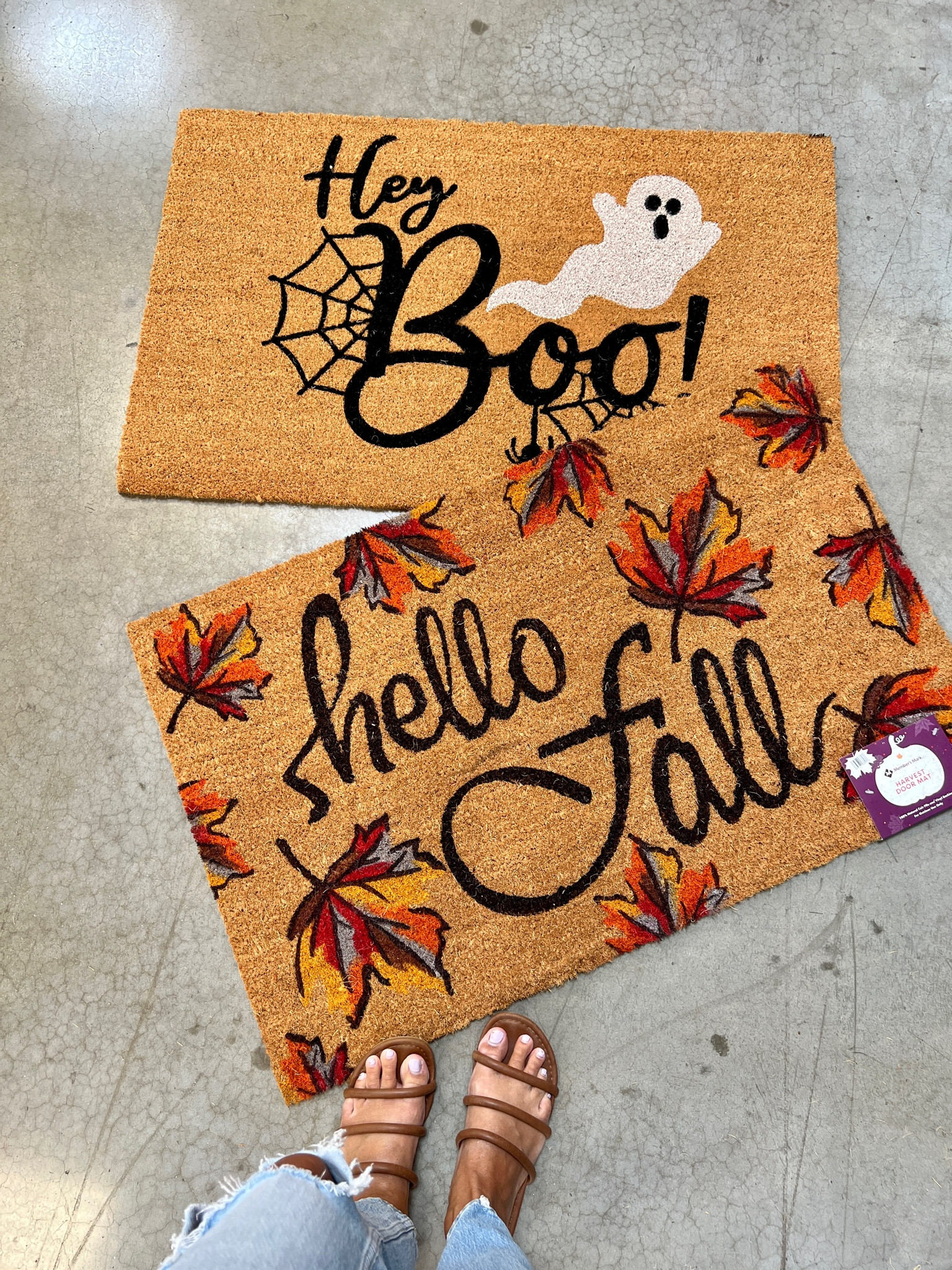 Sam’s Club door mats!

#LTKunder50 #LTKhome #LTKSeasonal
