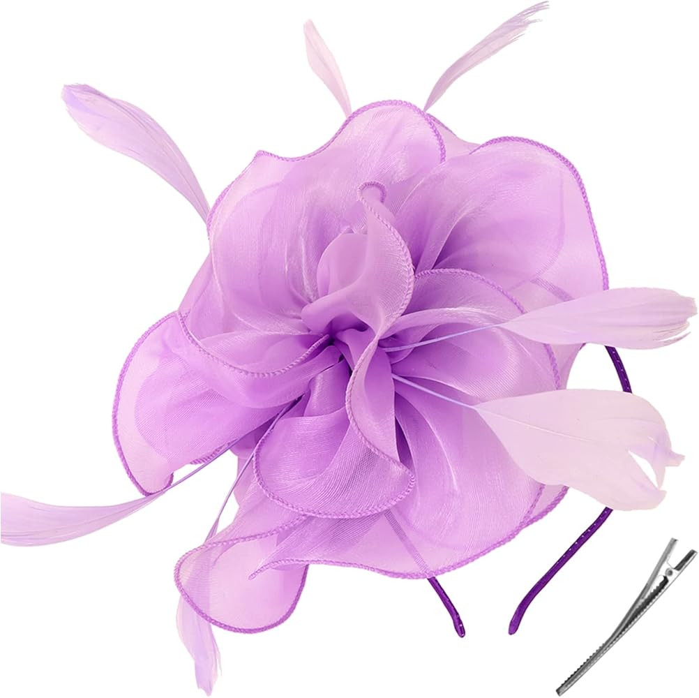 DRESHOW Fascinators Hat Tea Party Headwear Ribbons Feathers on a Headband and a Clip for Girls an... | Amazon (US)