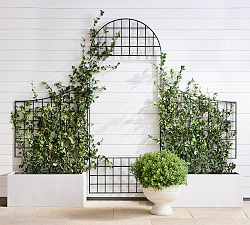 Garden Trellis | Pottery Barn (US)