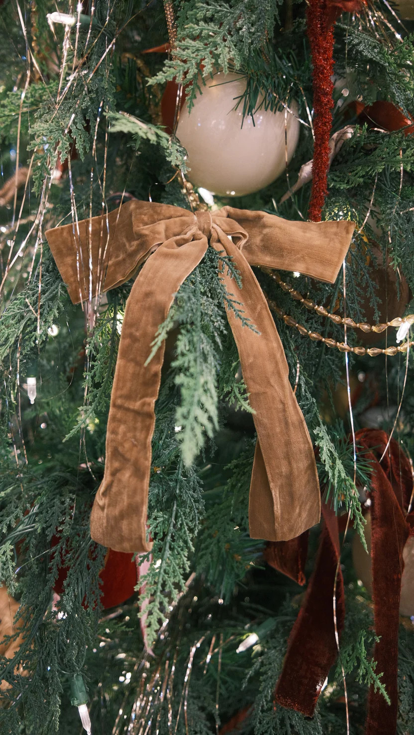 Tan Velvet Bow | Gatehouse No.1