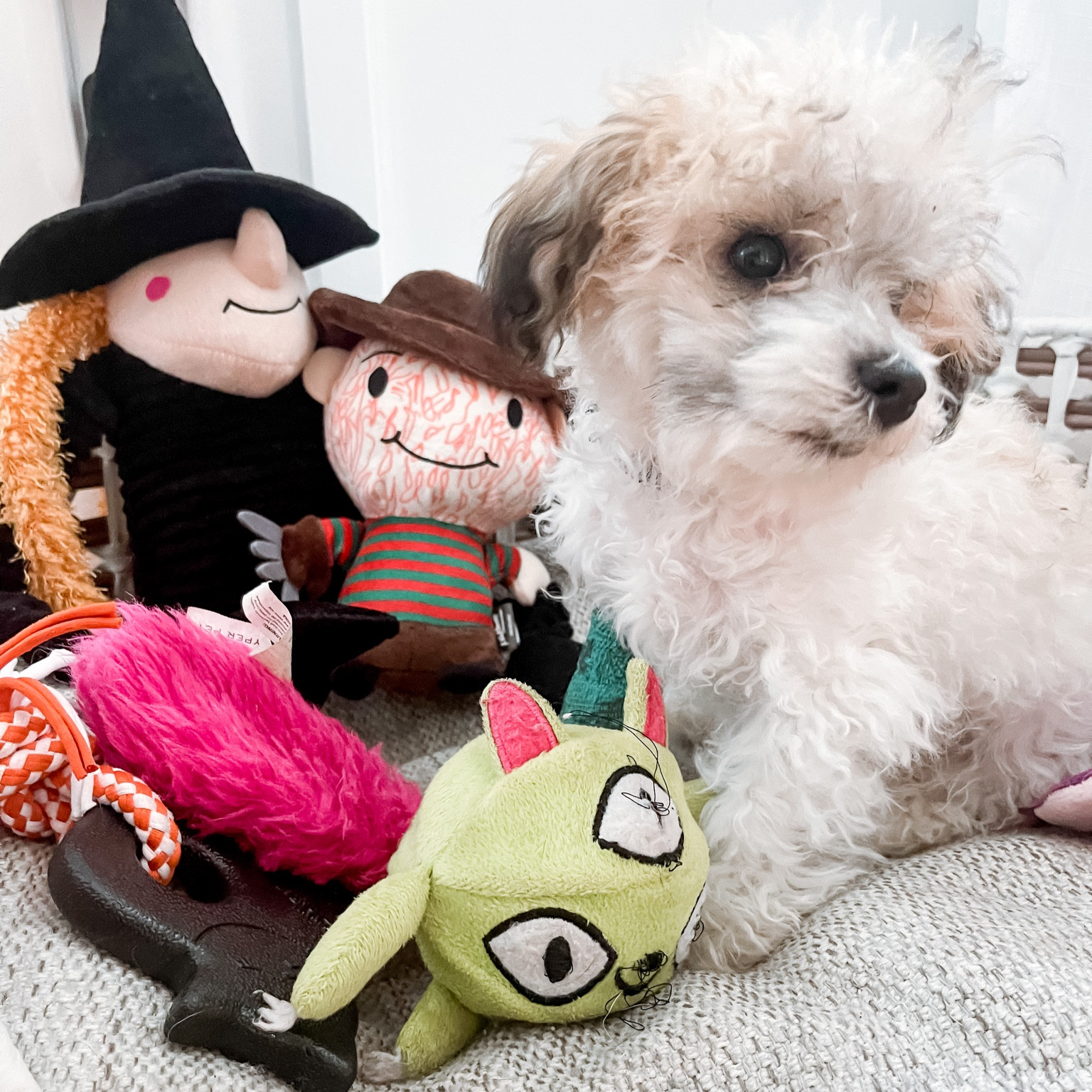 Archie’s Halloween favs!