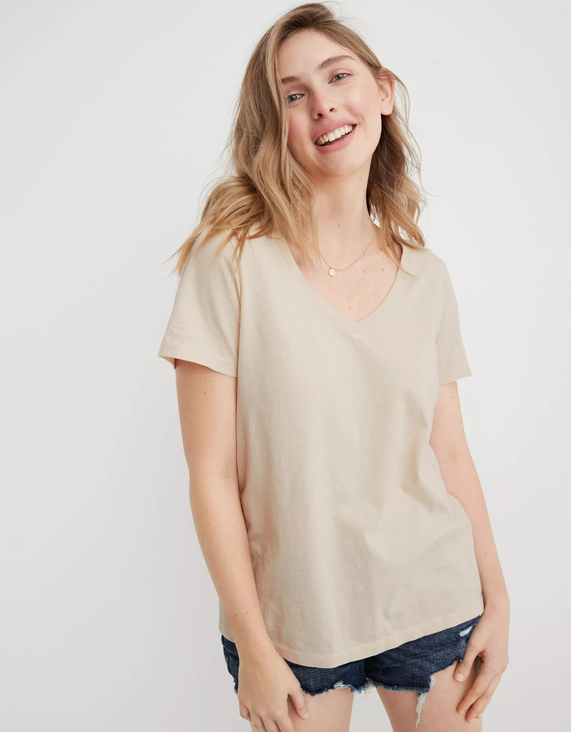 Aerie Basic V-Neck T-Shirt | Aerie