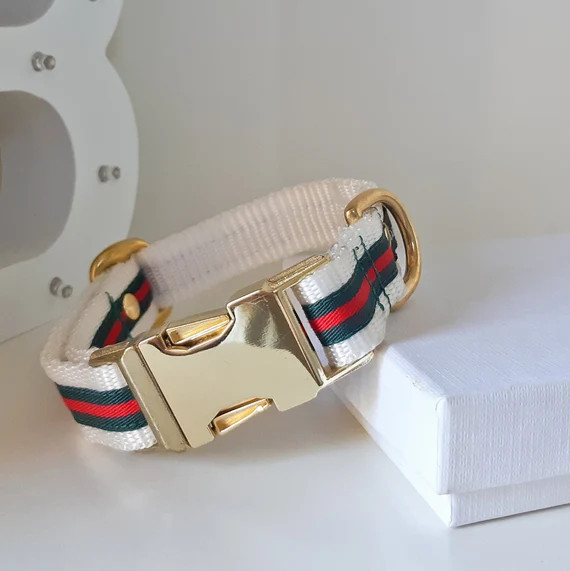 Gucci inspired  dog collar G inspired dog collar  pet collar | Etsy | Etsy (US)
