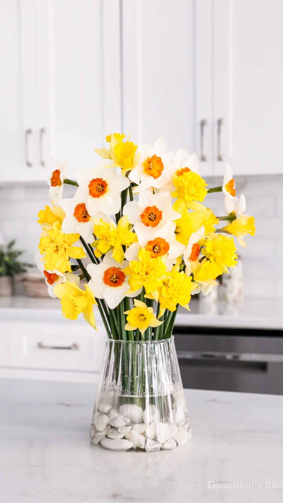 A simple daffodil bouquet using a floral frog.

See details:
https://domesticallyblissful.com/daffodil-bouquet/



#LTKvlog #LTKSeasonal #LTKHome