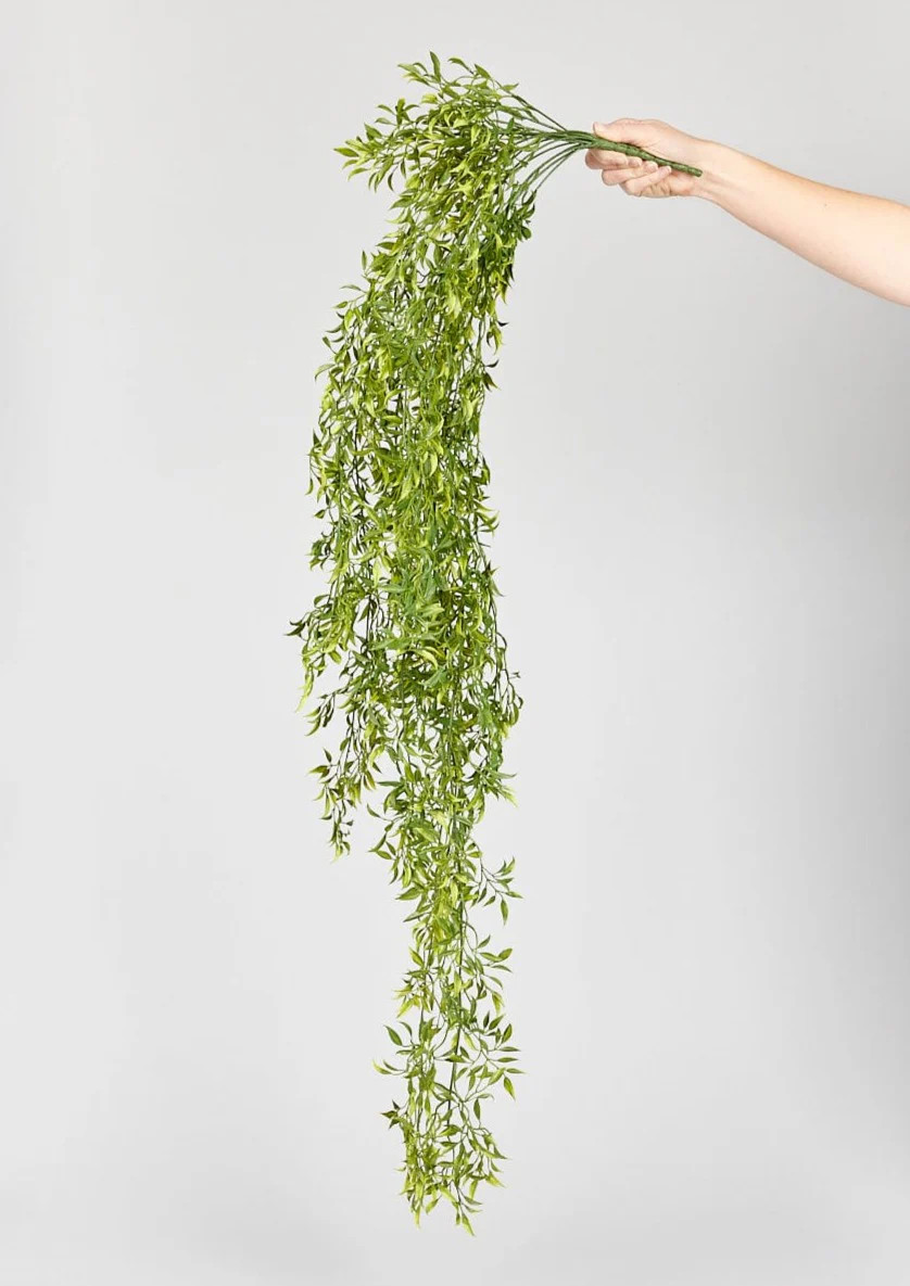 Natural Touch Ruscus Hanging Branch - 50" | Afloral