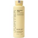 Jupiter Hydrating Shampoo 14 fl oz | Dermstore