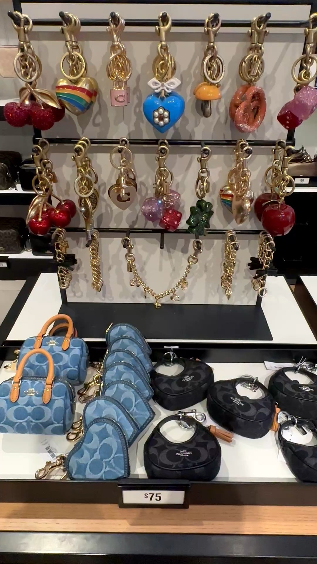 Micro Mini Bag Charms Keychains Coach Outlet Sale

#LTKMothersDay #LTKFestival #LTKSaleAlert