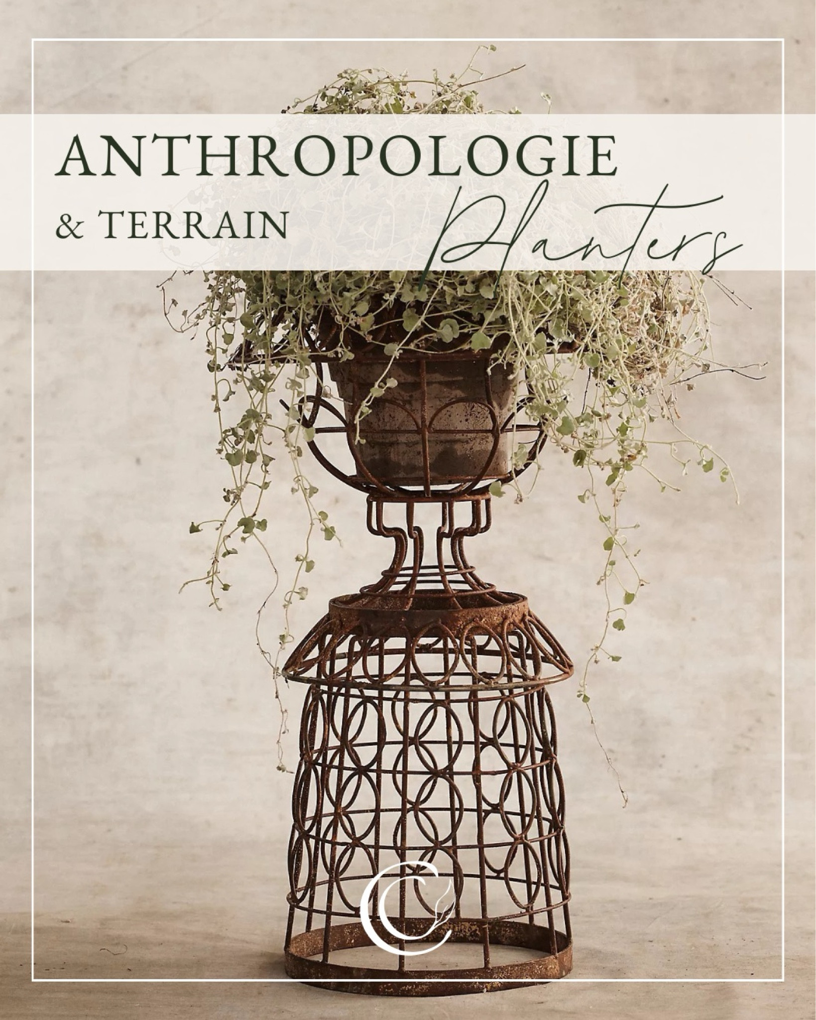 Aged iron wire pedestal and urn

#LTKhome #LTKSeasonal #LTKSpringSale