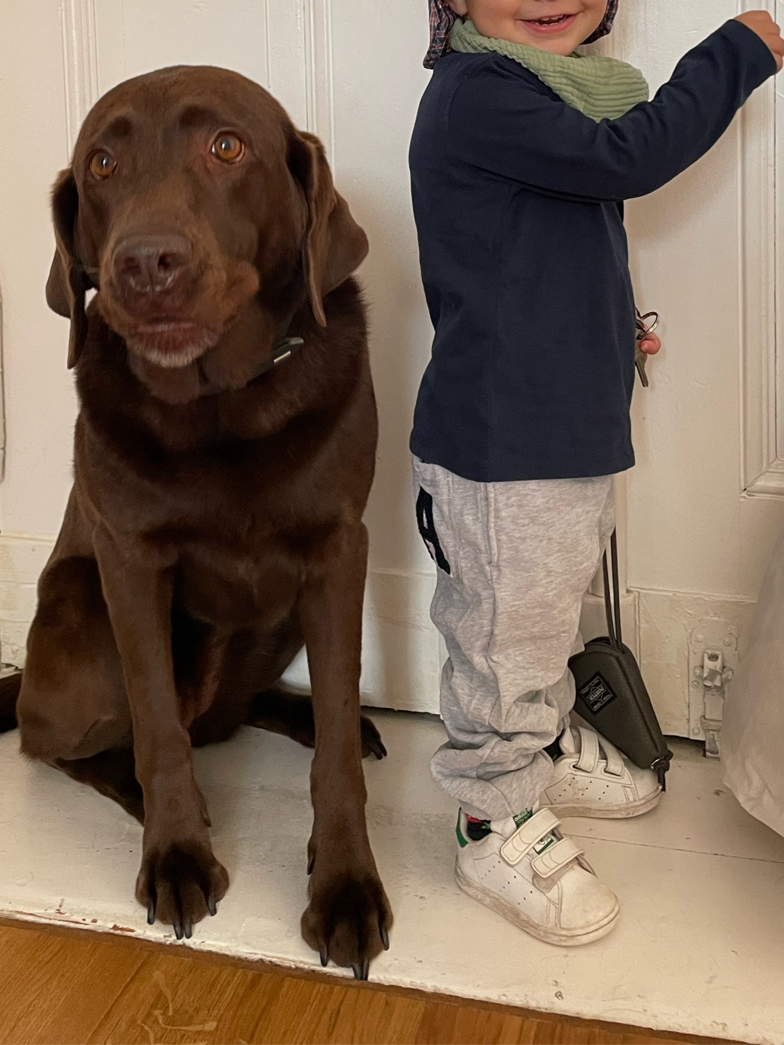 Only with the dog! Daily kindergarten attire.

#LTKkids #LTKeurope