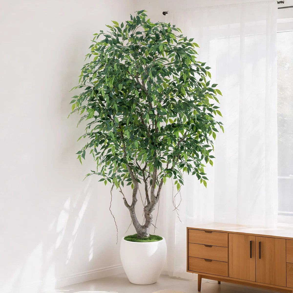 8FT Realistic Artificial Ficus Tree | Ficus Tree Artificial, Artificial Faux Tree in Large White ... | Wayfair North America