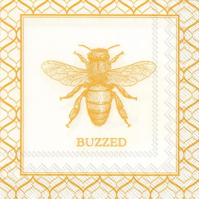 Boston International IHR Roseanne Beck Cocktail Beverage Paper Napkins, 5 x 5-Inches, Buzzed | Amazon (US)