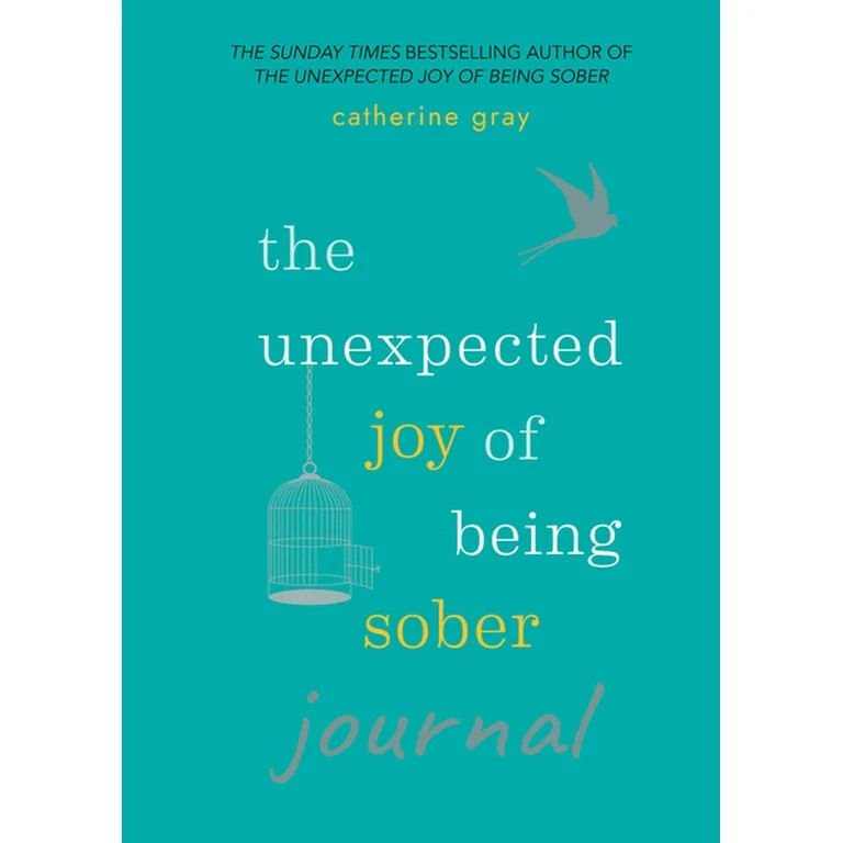 Unexpected Joy of Being Sober Journal (Paperback) | Walmart (US)