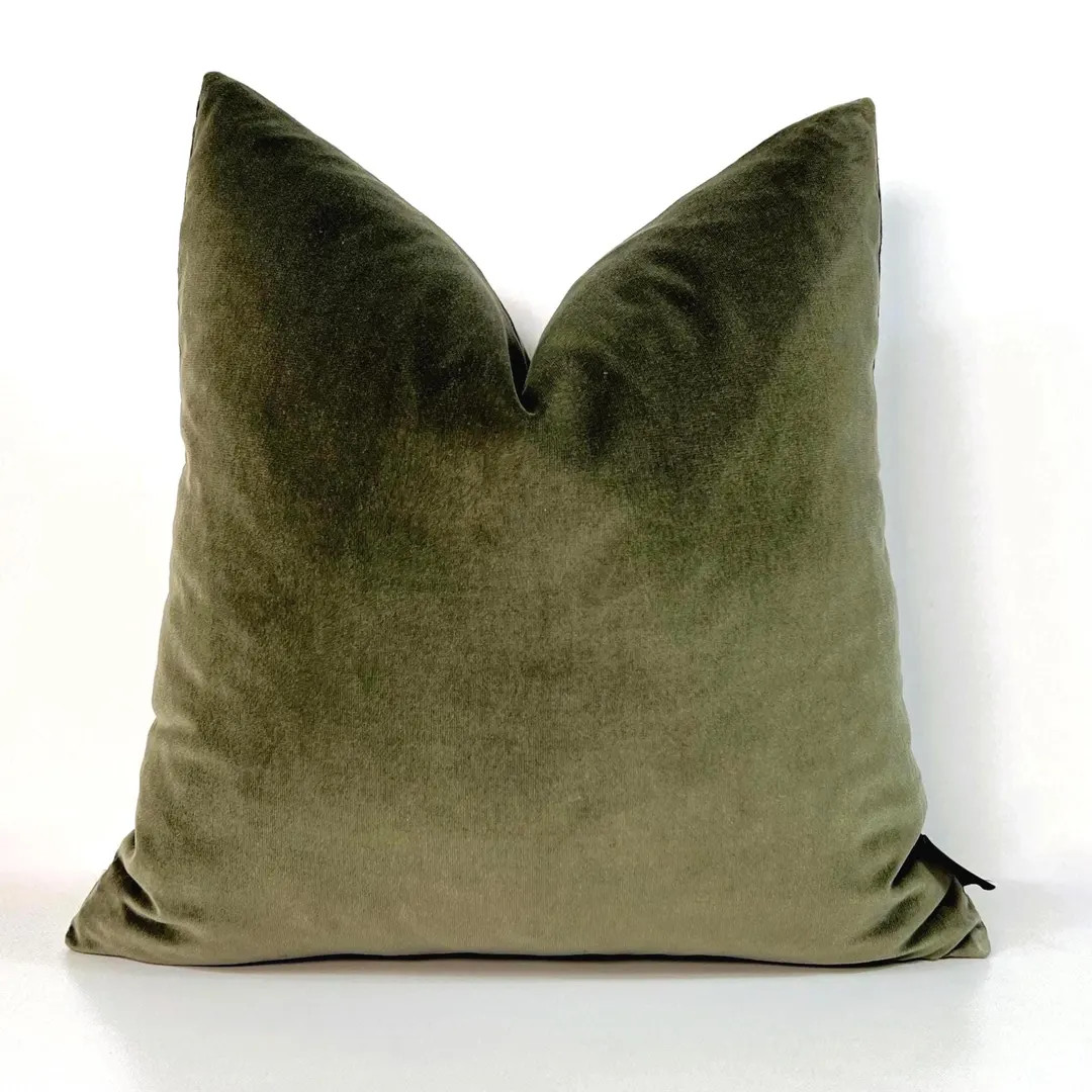 Luxury Sage Green Velvet Pillow Cover: Farmhouse Decor Pillows and Throw Blankets - Etsy | Etsy (US)