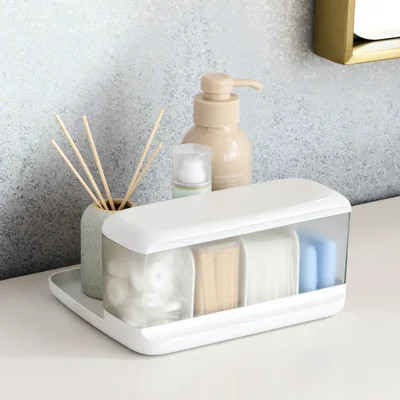 YouCopia HideAway Counter Caddy, Bathroom Countertop Organizer Bin with Adjustable Dividers and Lid | Wayfair North America