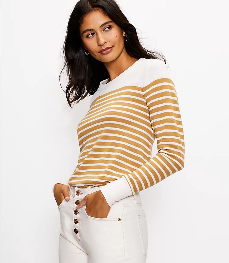 Striped Long Sleeve Everyday Tunic Tee | LOFT