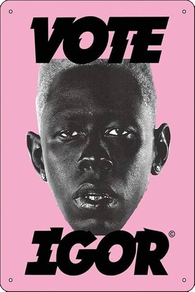 Vote Igor Pink Poster Metal Tin Sign 12 X 8 Inch Funny Man Cave Home Office Bar Decor | Amazon (US)