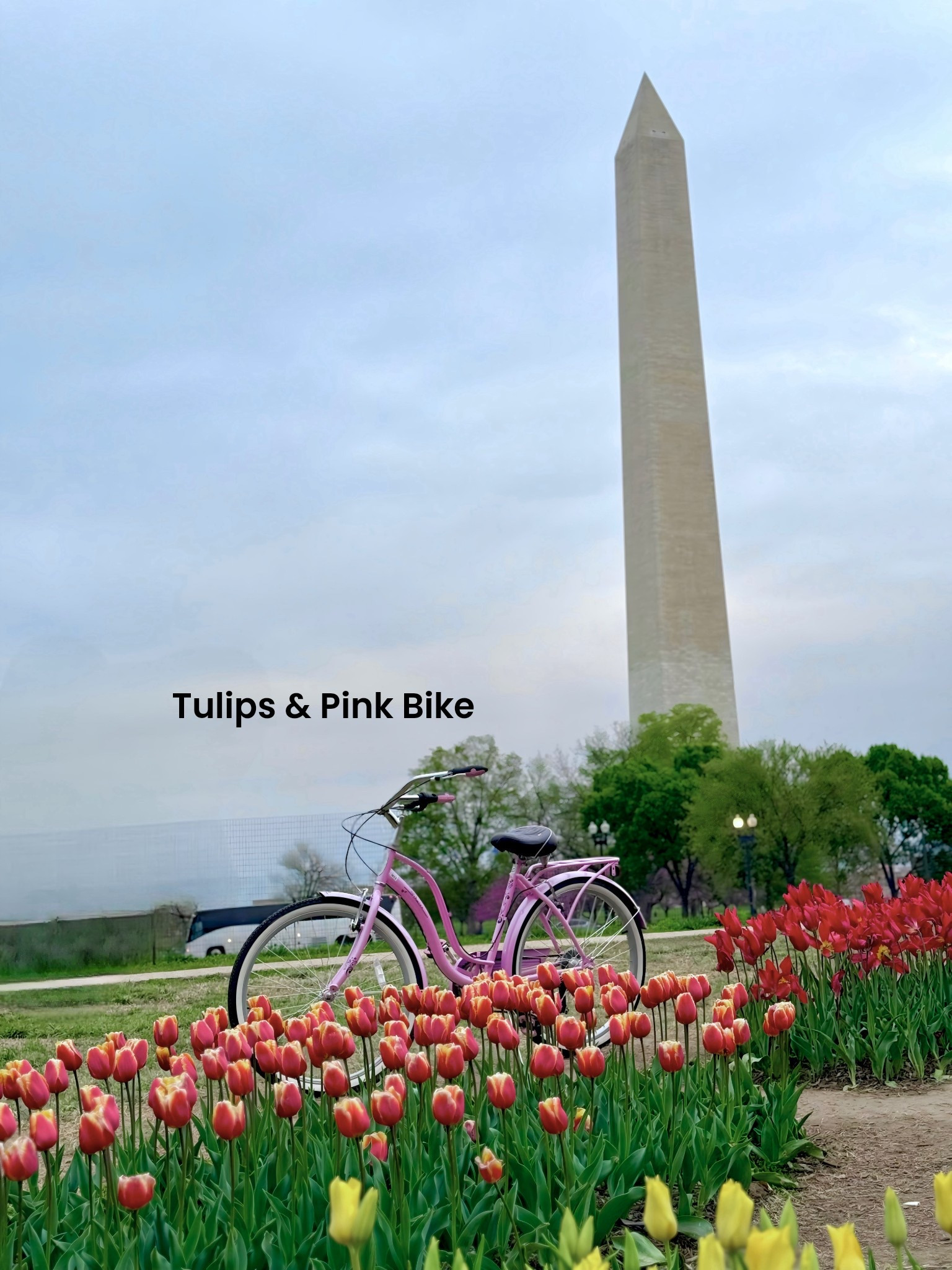 Must have during this season 🌷 Pink Bike 

#LTKfitnessgoals #LTKdayinmylife #LTKspring