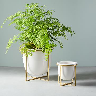 Eden Cross Base Tabletop Planters - White | West Elm (US)