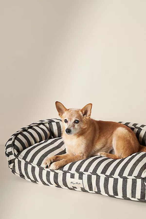 Harry Barker Ortho Lounger Dog Bed | Anthropologie (US)