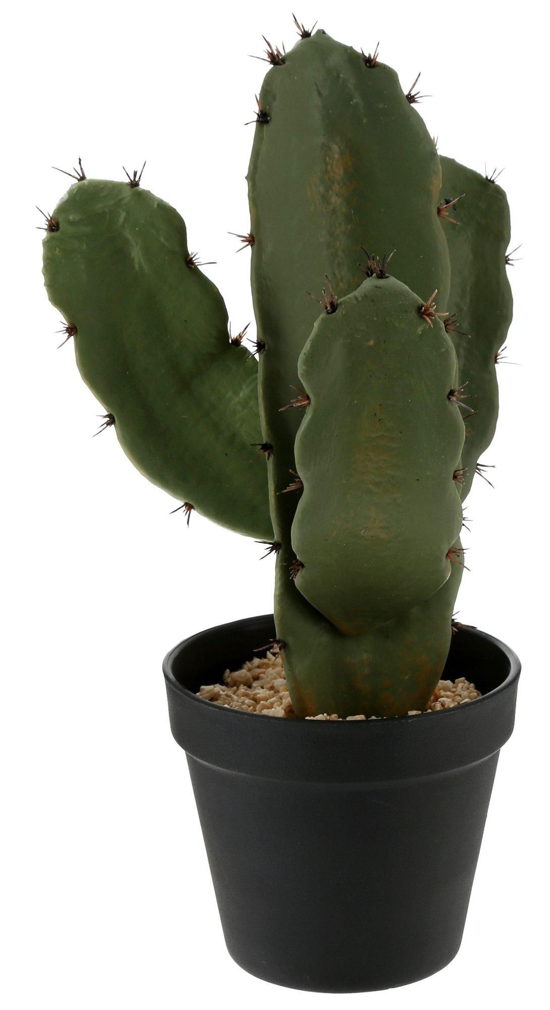 Potted Cactus 13" Home Accent - Green-green-7794837363600  | Burkes Outlet | bealls