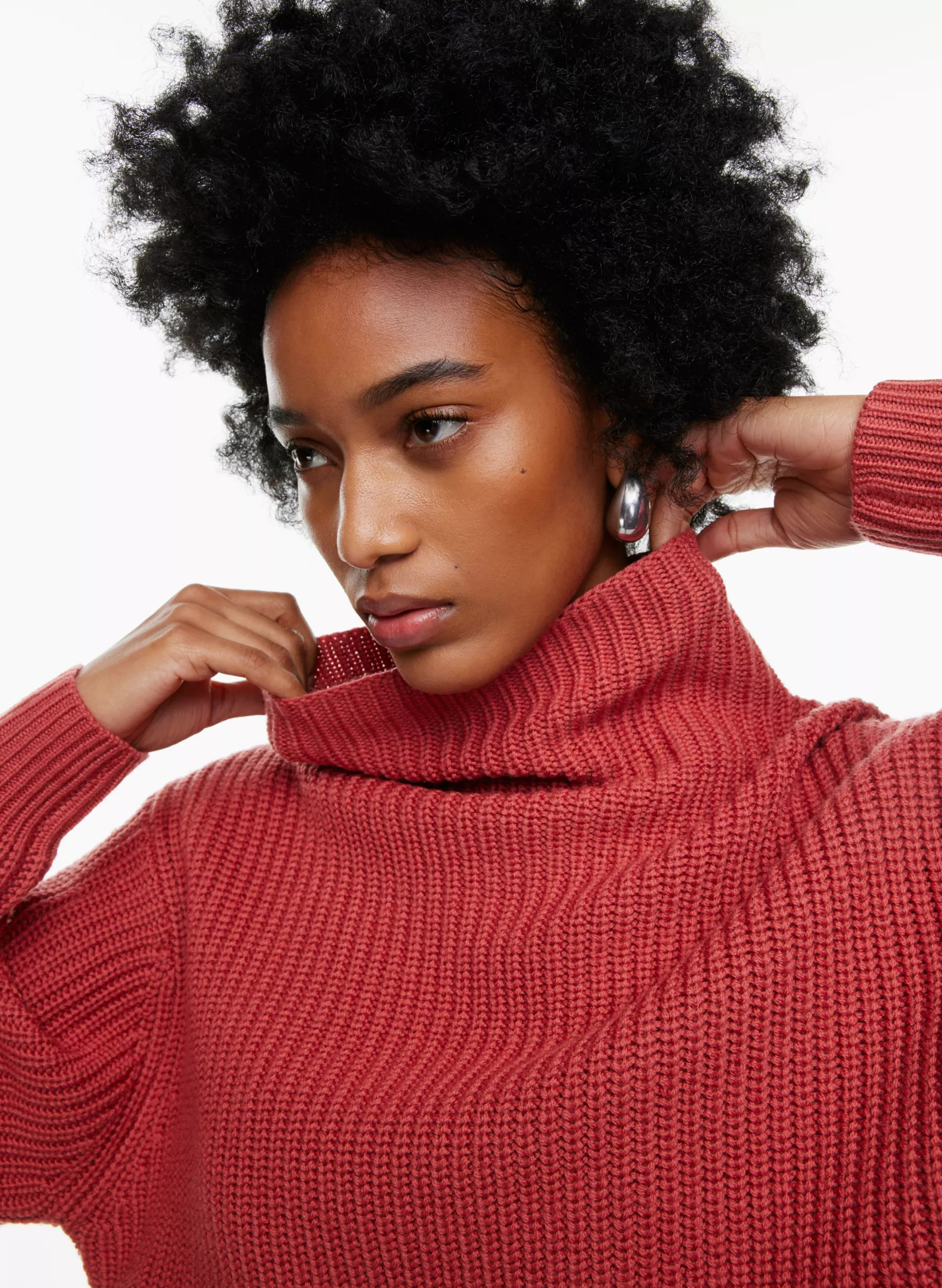 MONTPELLIER WAIST TURTLENECK | Aritzia