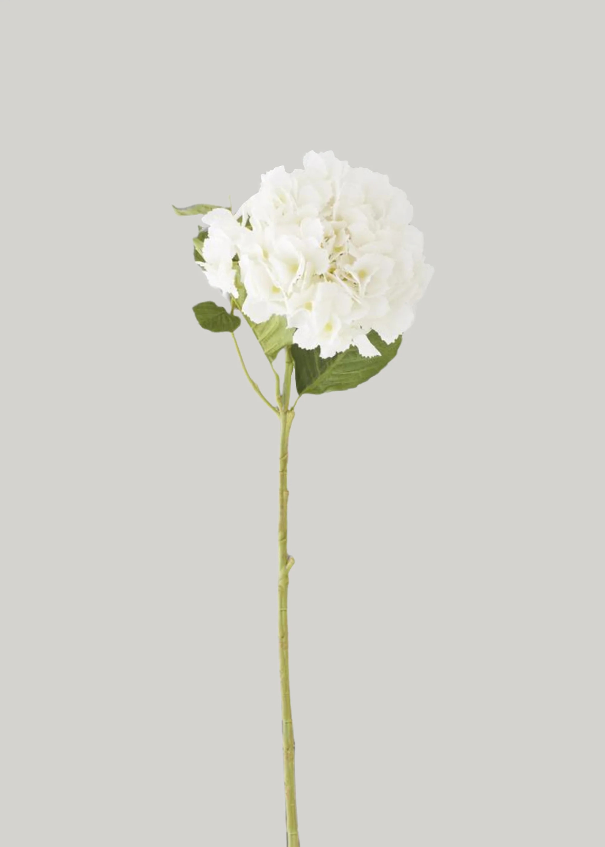 Real Touch Hydrangea Stem in White | Artificial Flowers | Afloral | Afloral