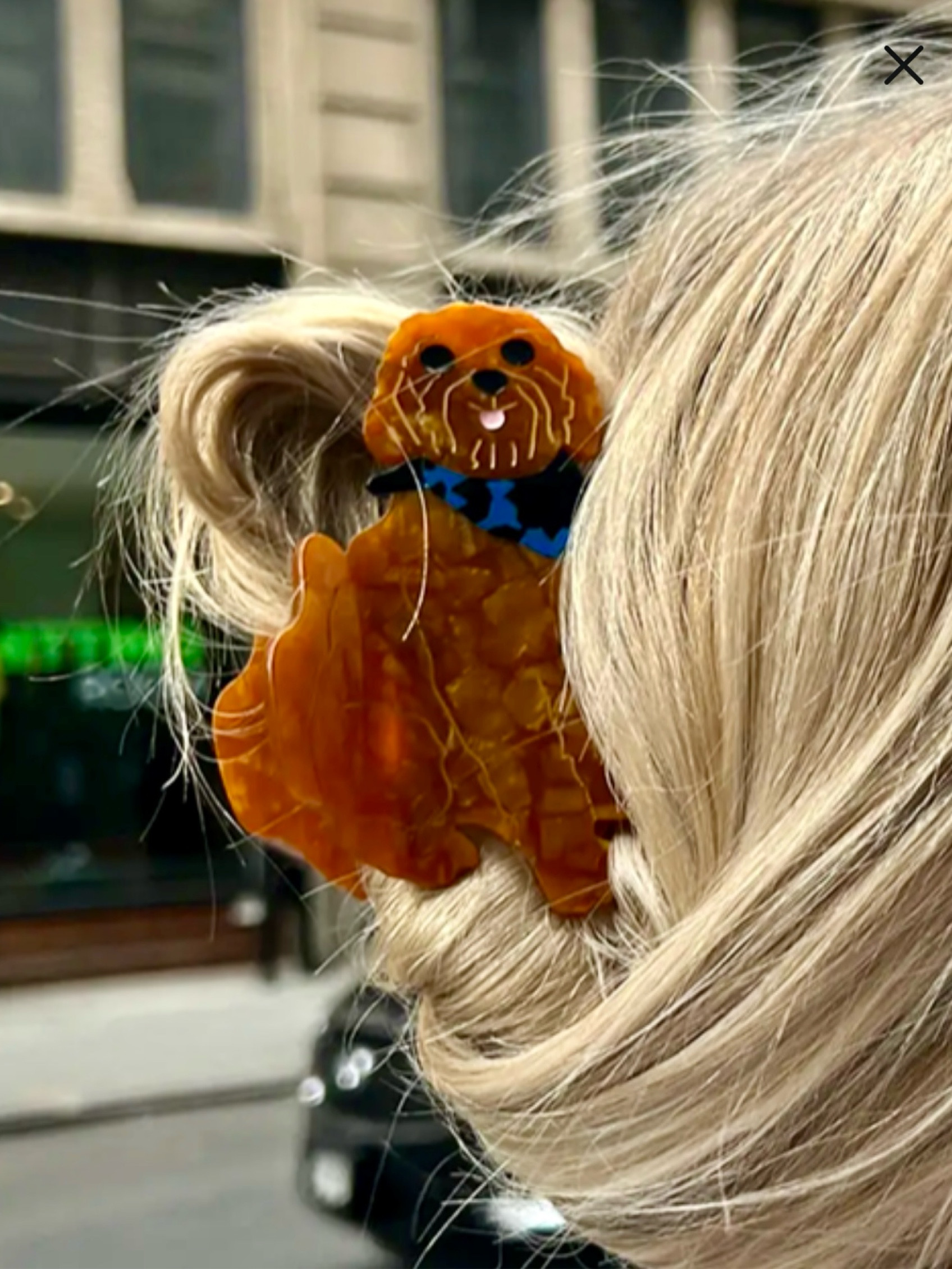 The perfect claw clip doesn’t exi-.. 
okay but seriously, this is perfect Christmas gift for that trendy dog lover in your life! 

#LTKStyleTip #LTKCyberWeek #LTKHoliday