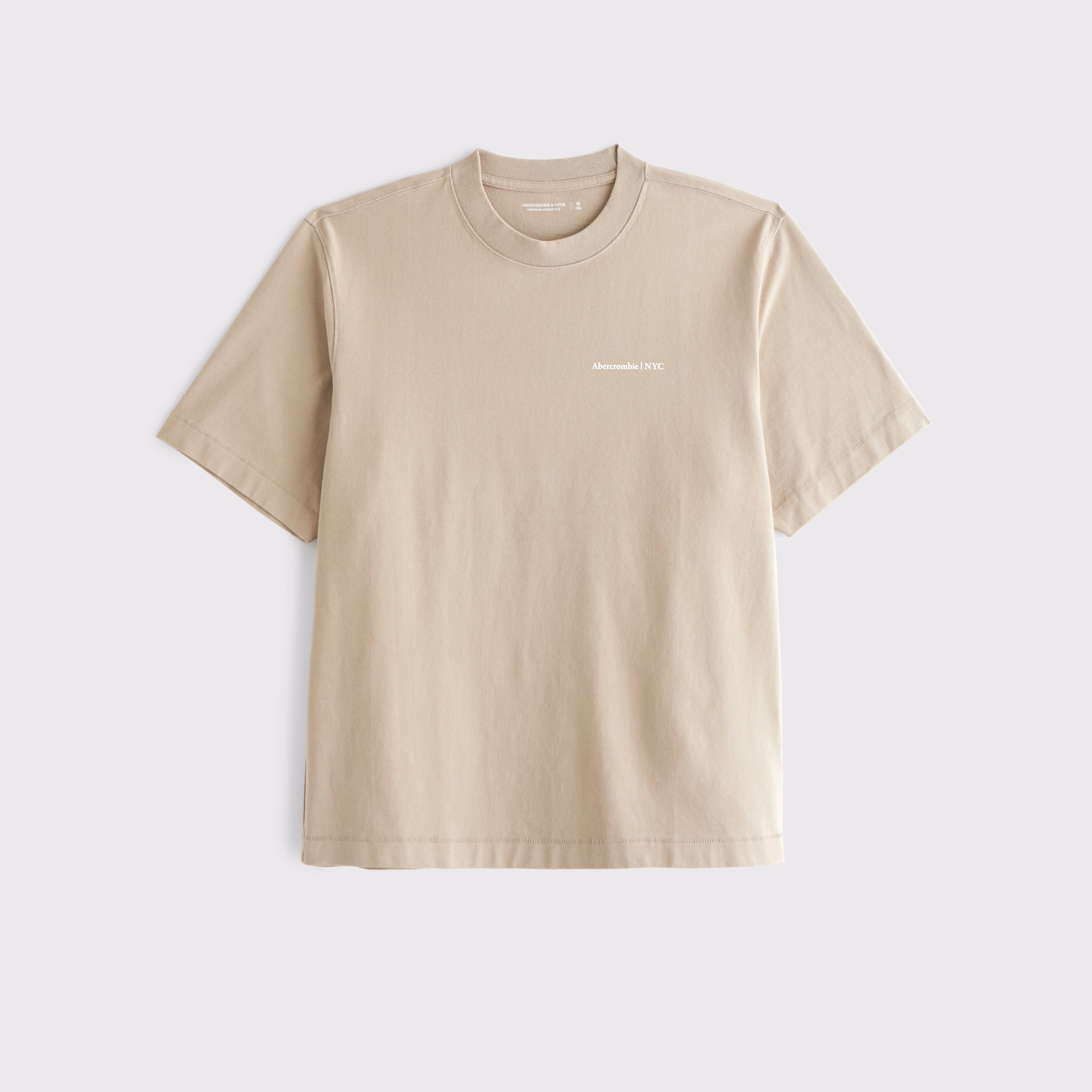 Premium Heavyweight Micro-Logo Tee | Abercrombie & Fitch (US)