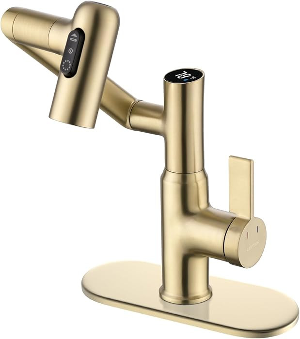 Lefton Rotatable Bathroom Faucet BF2204 with 6" Cover Plate FCP2202, Brushed Gold | Amazon (US)