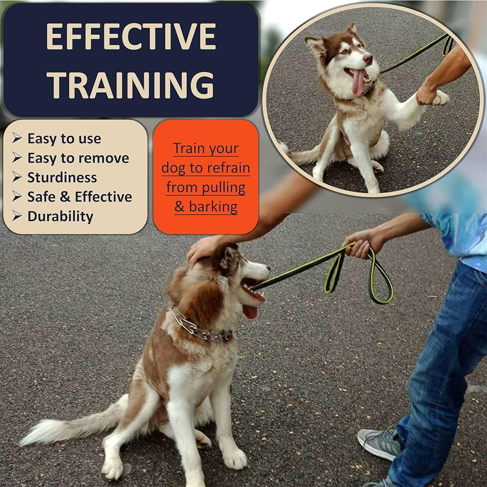 Prong Collar for Dogs, Adjustable Quick-Release Metal Buckle Pinch Collar for Dogs, Stainless Ste... | Amazon (US)