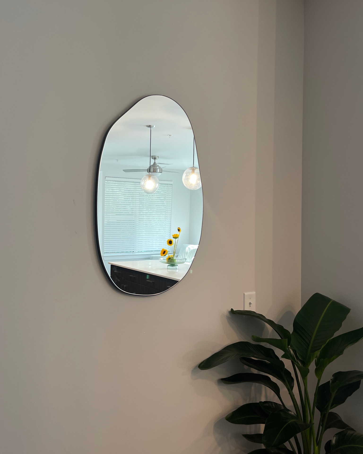 just got the cutest blob mirror 🖤 definitely adds some really cute detail to your home :) I hung mine in my entry hallway leading into the kitchen! Linking the exact one and a few others hereeee