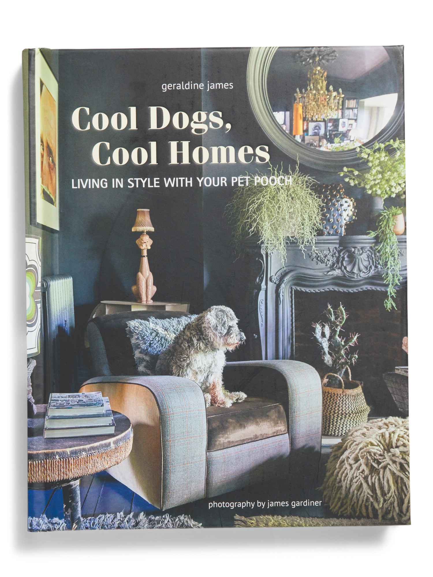 Cool Dogs Cool Homes Book | Pillows & Decor | Marshalls | Marshalls