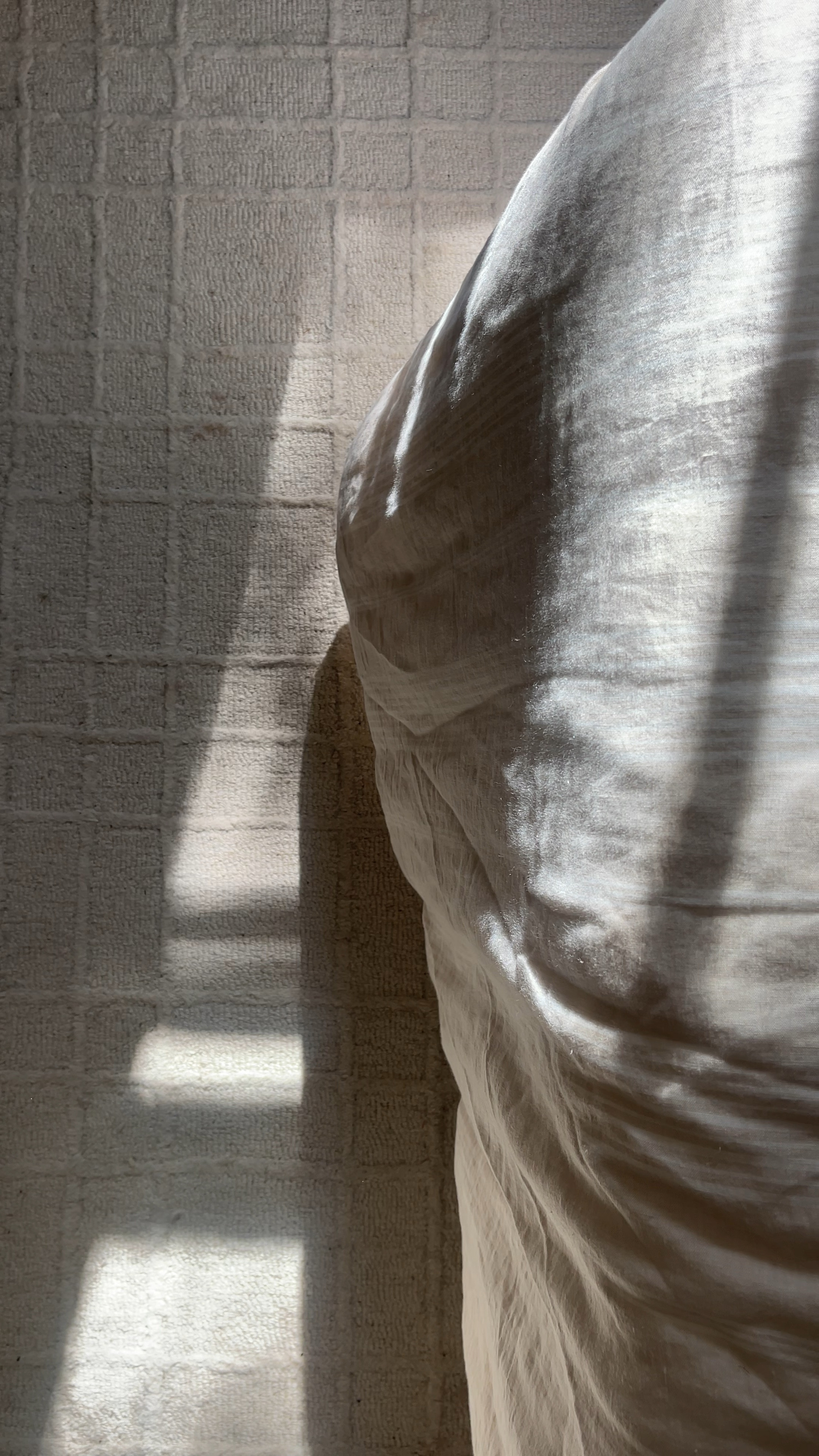 Morning light on our bedroom rug. 

Wayfair, wool rug, home decor, tonal rug 

#LTKhome #LTKFind