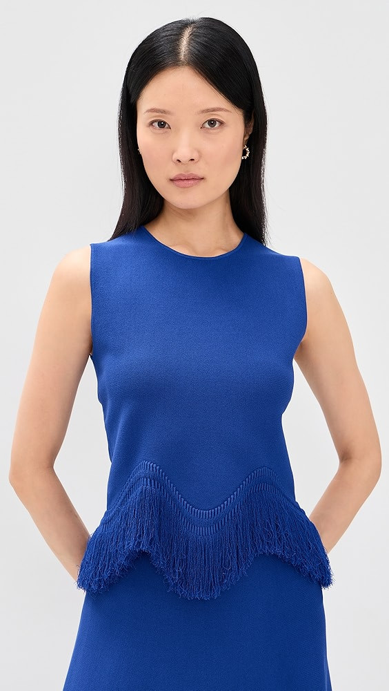 Koa Sleeveless Knit Top with Fringe | Shopbop
