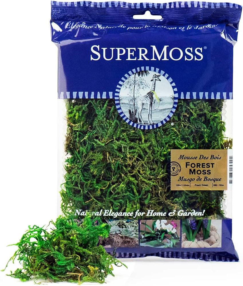SuperMoss (25320) Forest Moss Preserved, Fresh Green, 2oz | Amazon (US)