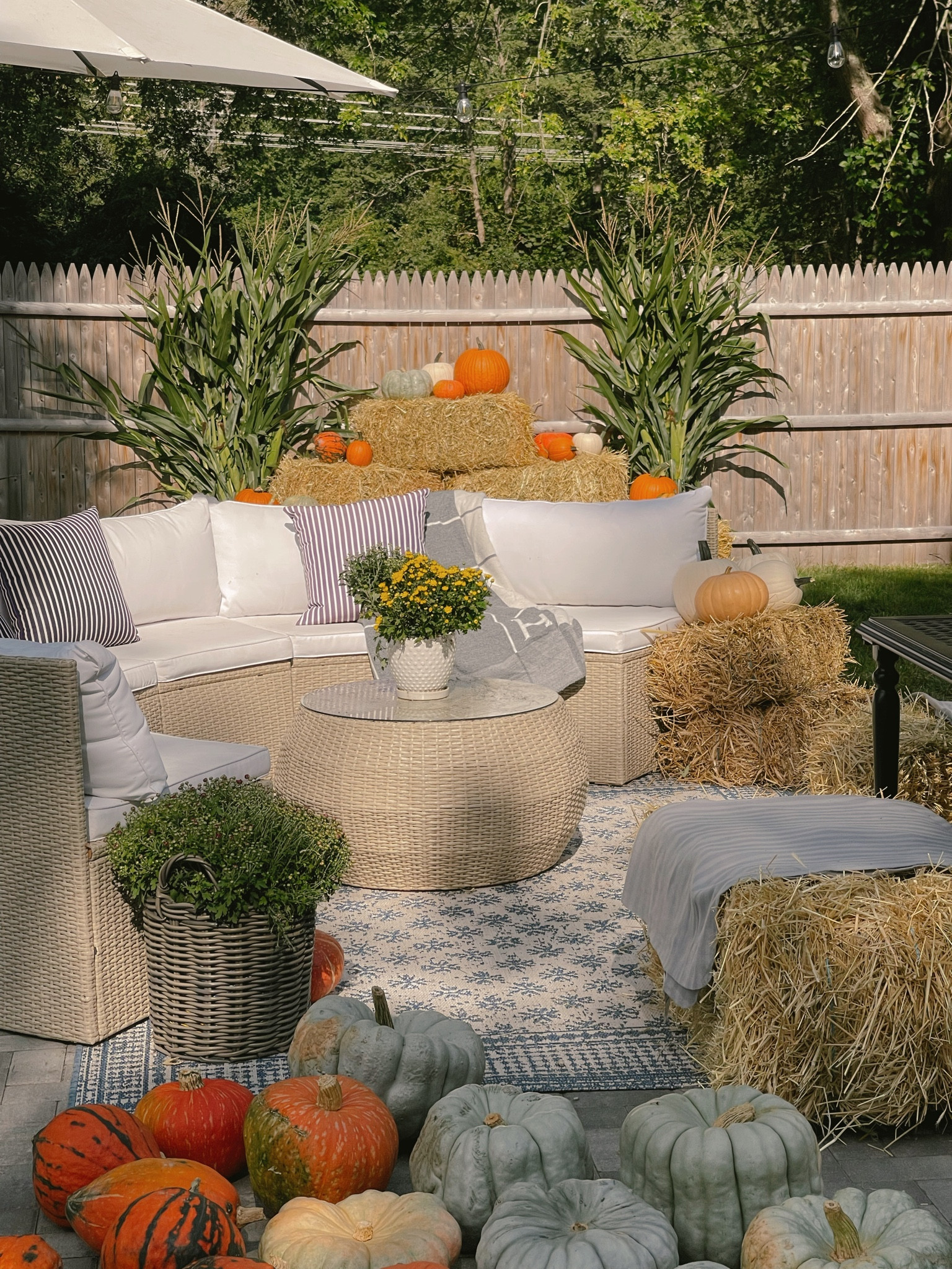 Fall backyard decorating Halloween pumpkins 

#LTKHalloween #LTKhome #LTKstyletip