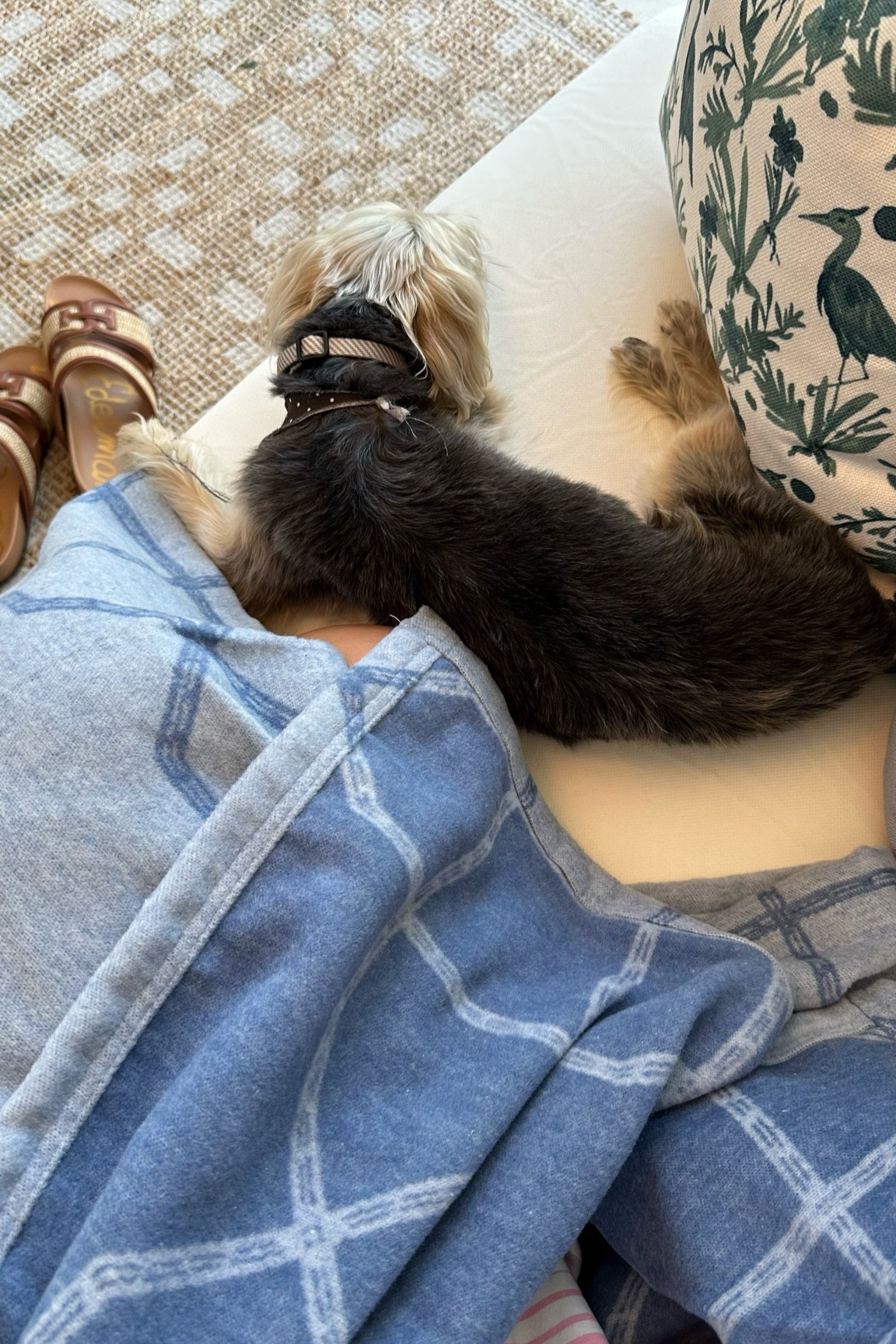 Loving my new lightweight Chappywrap blanket. Love this pattern! #gifted 

#LTKHome