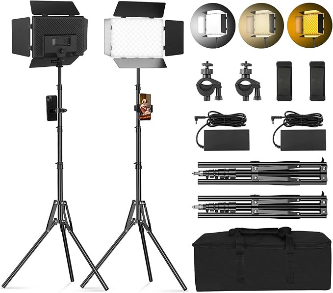 2Pack LED Panel Video Light with Barn Door 12.6in Bi Color 280 LED Bead 2400Lux 2500-6500K CRI 96... | Amazon (US)