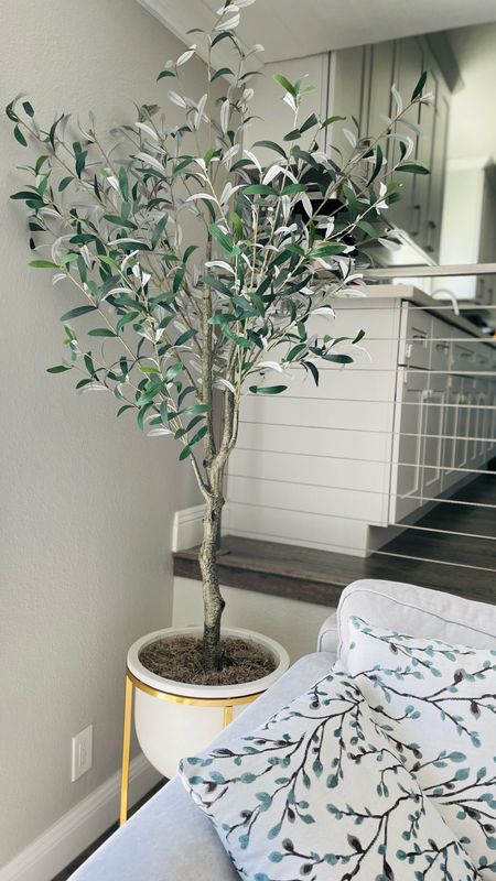The most real looking faux olive tree. 🕊 This stand just make it perfect.🤍

westelm olive tree, faux olive free, modern home decor, modern family room, tree stand, pot for olive tree, tall olive tree, faux tree, home decor modern

#westelm #modernhomedecor #fauxolivetree #treestand #treepot #moderntree #modernhomes

#LTKhome #LTKfamily #LTKstyletip