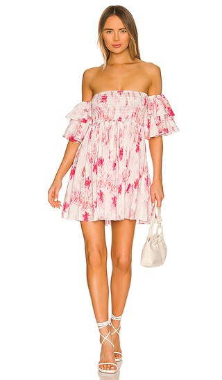 Dina Dress in Abstract Rose Flora | Revolve Clothing (Global)