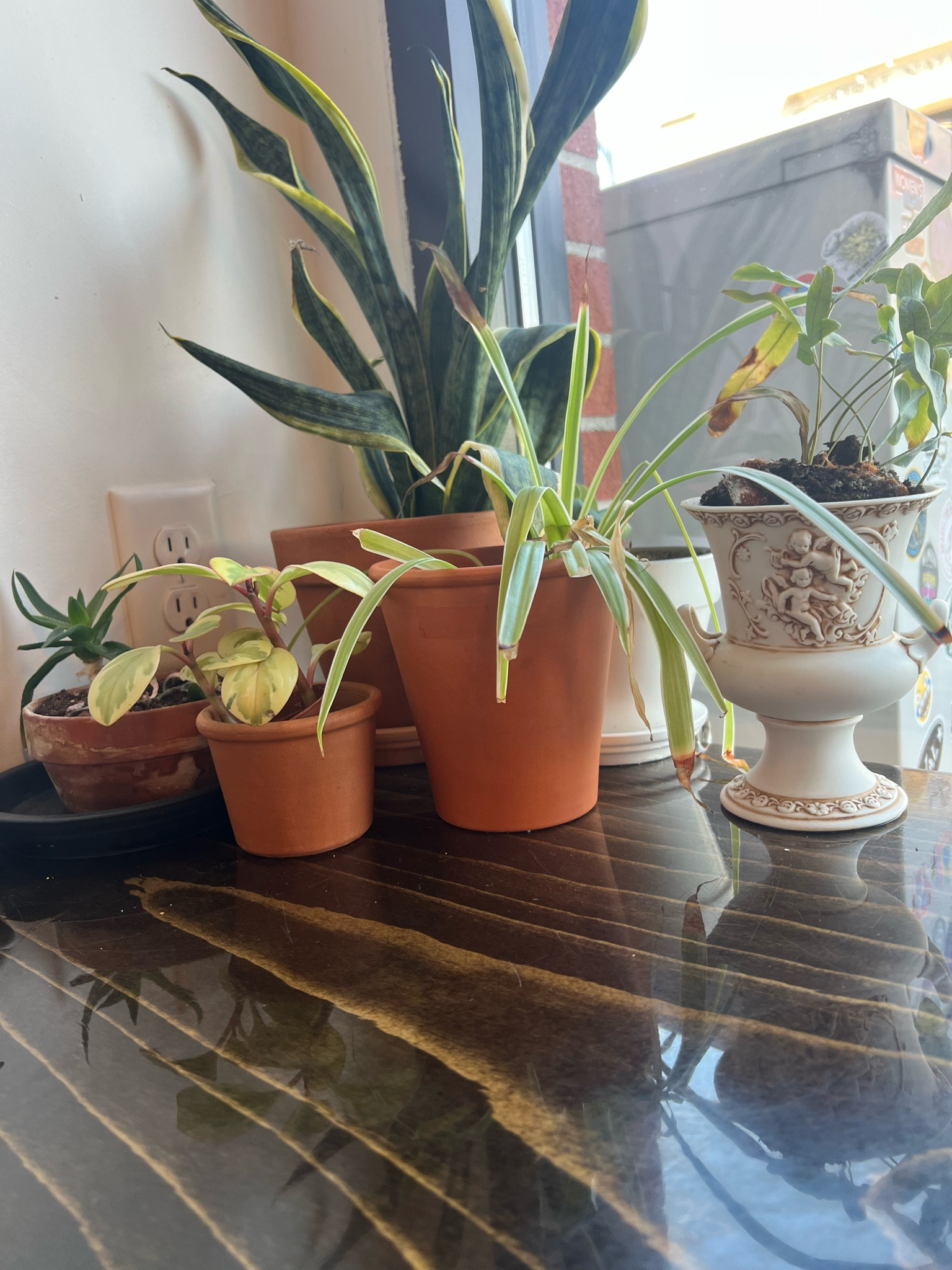 just some of my random favorites! 

#LTKhome #LTKGiftGuide #LTKstyletip