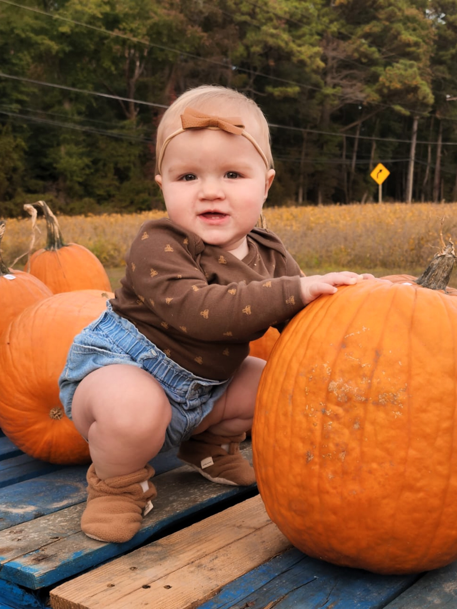 The perfect pumpkin patch outfit. Lakey’s been wearing these bows since she was a newborn. They come with so many and go with all of her outfits. Love these boots for fall, they are nice and cozy and have grip.

#LTKunder50 #LTKbaby #LTKkids