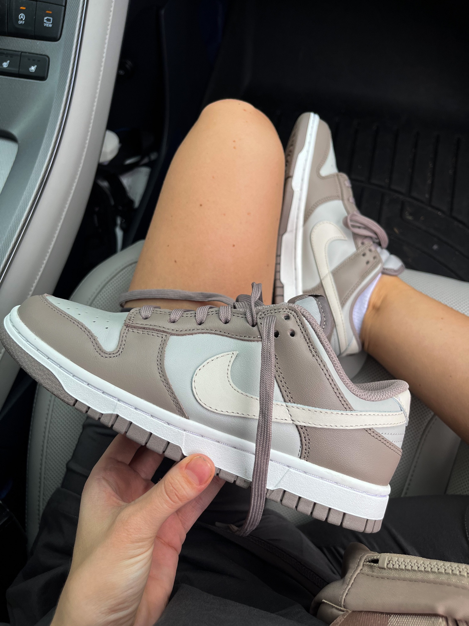 neutral nike dunks