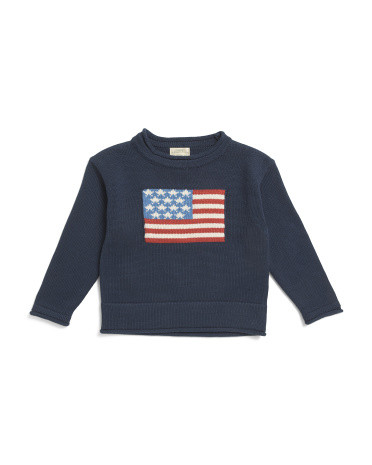 Toddler American Flag Crew Neck Sweater | TJ Maxx