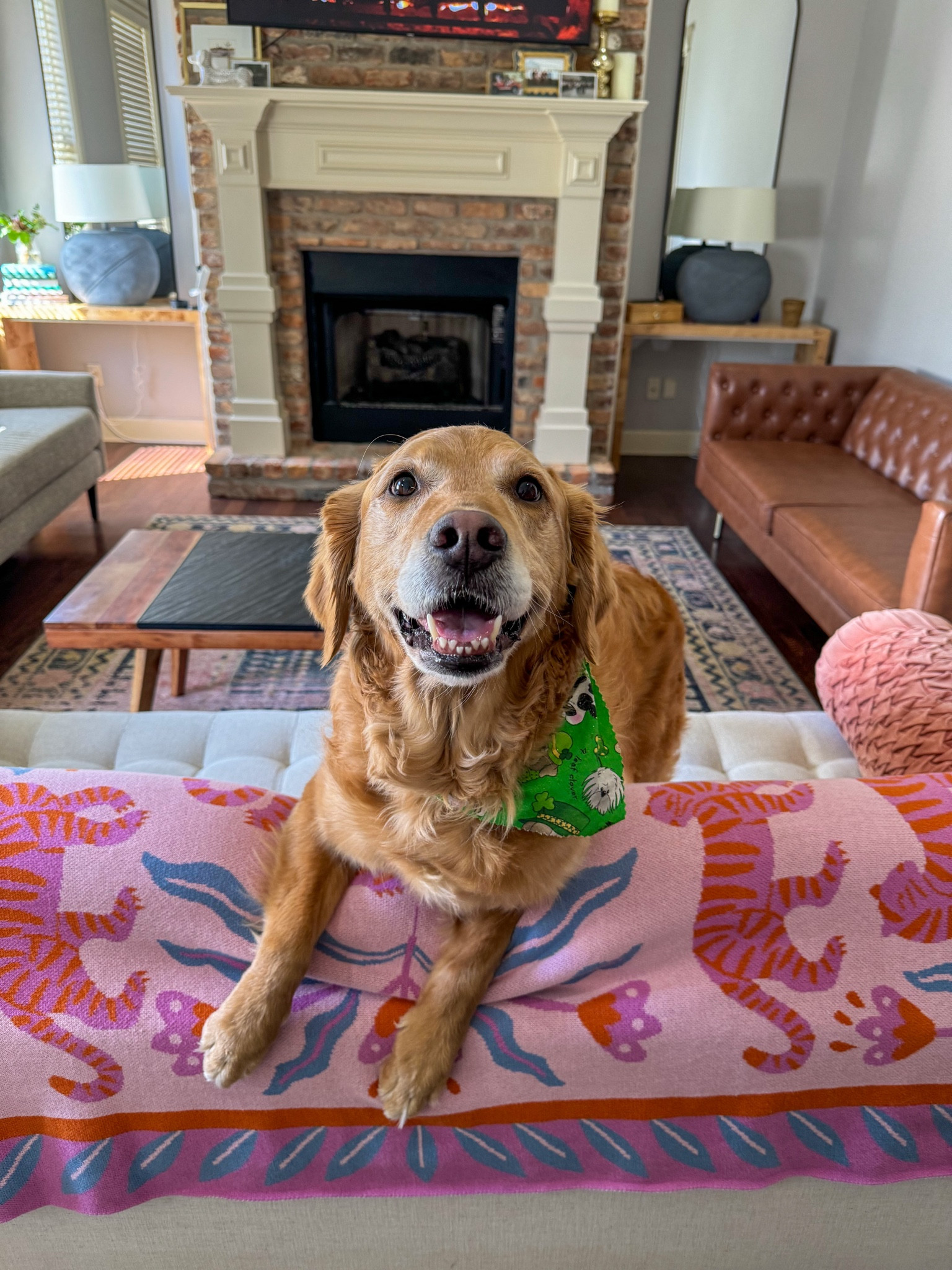 #LTKhome #LTKstyletip