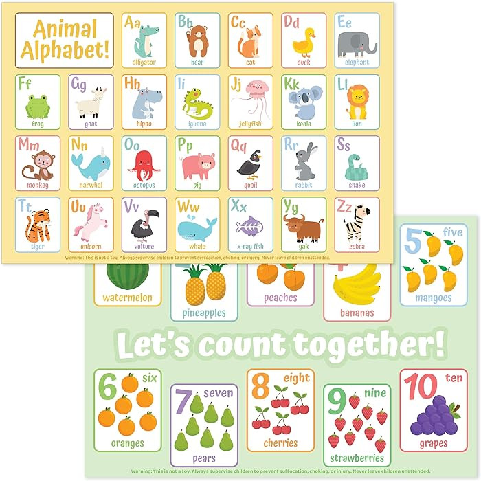 Bright Seed Disposable Placemats for Baby, Toddlers and Kids, Animals ABC & Numbers 03, 40 Dispos... | Amazon (US)